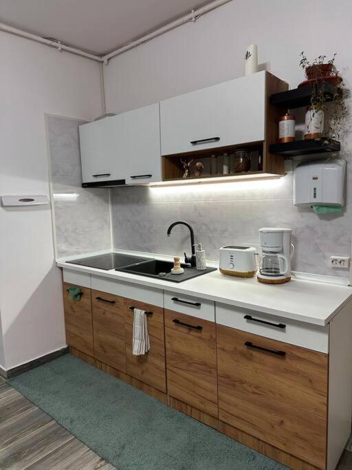 Zion Home Sibiu Esterno foto
